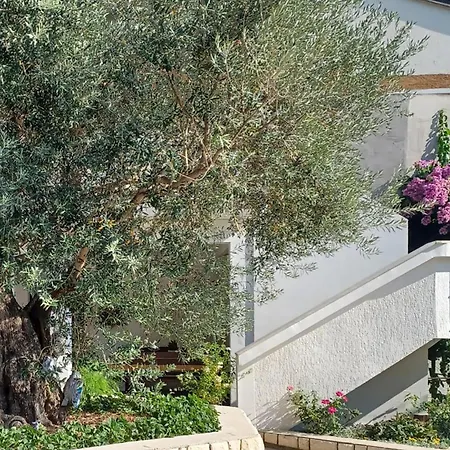 Awesome In With Wifi Apartament Palit