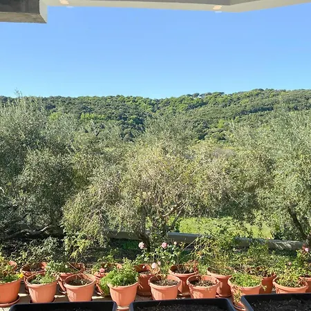 Awesome In With Wifi Palit