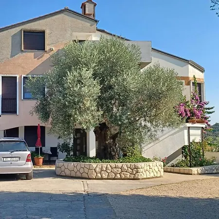 Awesome In With Wifi Apartament Palit