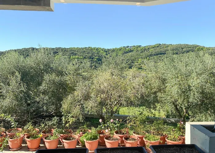 Awesome In With Wifi Palit