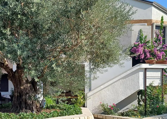 Awesome In With Wifi Apartmán New Translation
